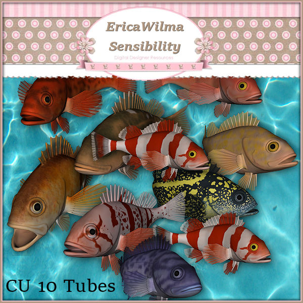 EW Fish CU - Click Image to Close